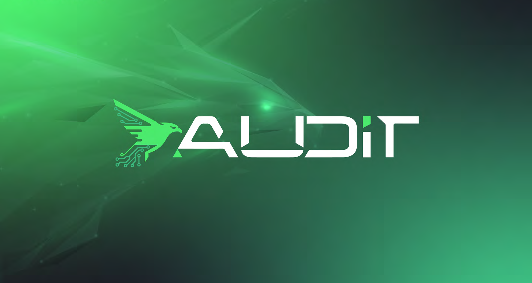 AUDIT Visual